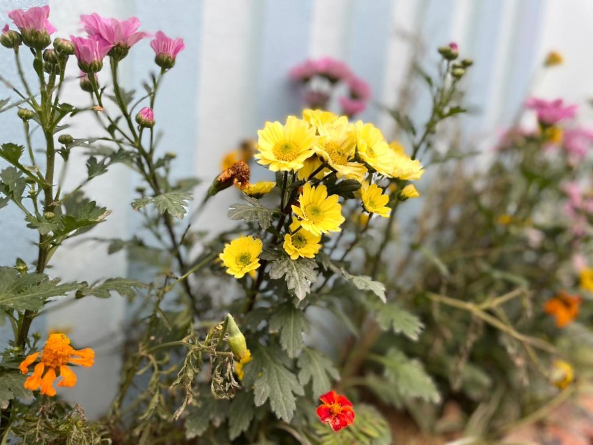 An Bungalow - Mai Chau Villa Hòa Bình Eksteriør bilde