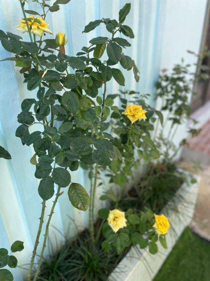 An Bungalow - Mai Chau Villa Hòa Bình Eksteriør bilde